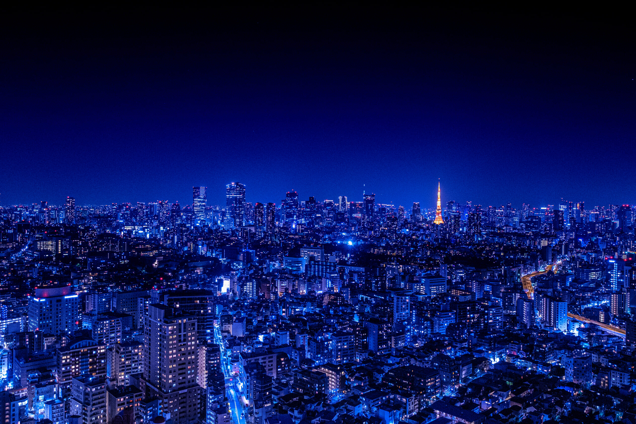 東京の夜の夜景。東京タワーが美しく浮かび上がる。